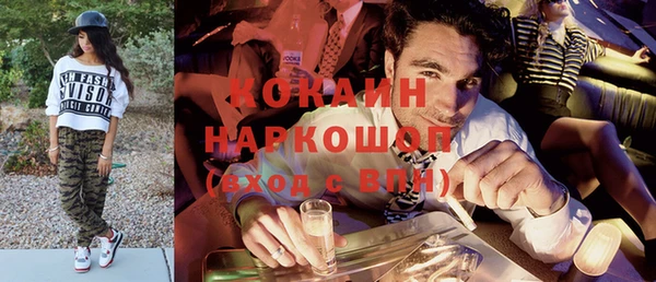 прущие грибы Осинники