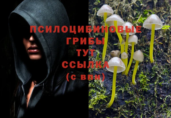 гашиш Осташков