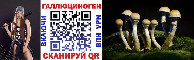kraken рабочий сайт  мориарти наркотические препараты  Галлюциногенные грибы GOLDEN TEACHER  Кировск 
