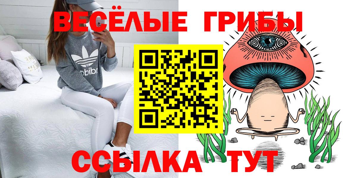 Псилоцибиновые грибы мухоморы  Галлюциногенные грибы мухоморы  Кировск 