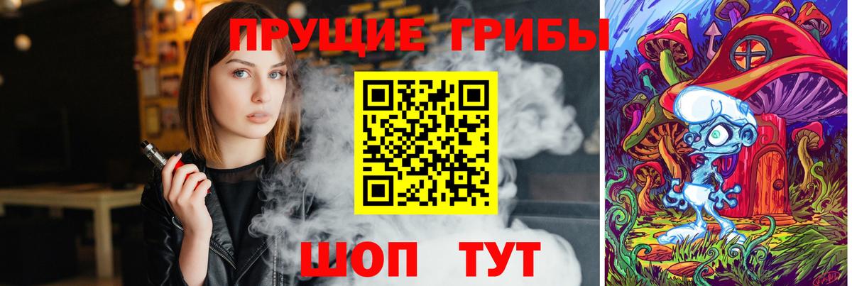 Кировск  Галлюциногенные грибы ЛСД  Вход с VPN 